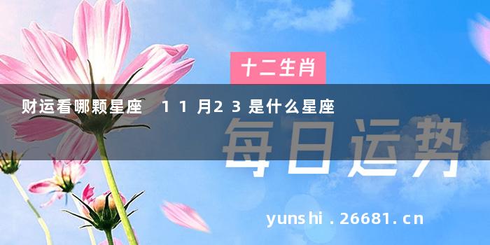 财运看哪颗星座 11月23是什么星座